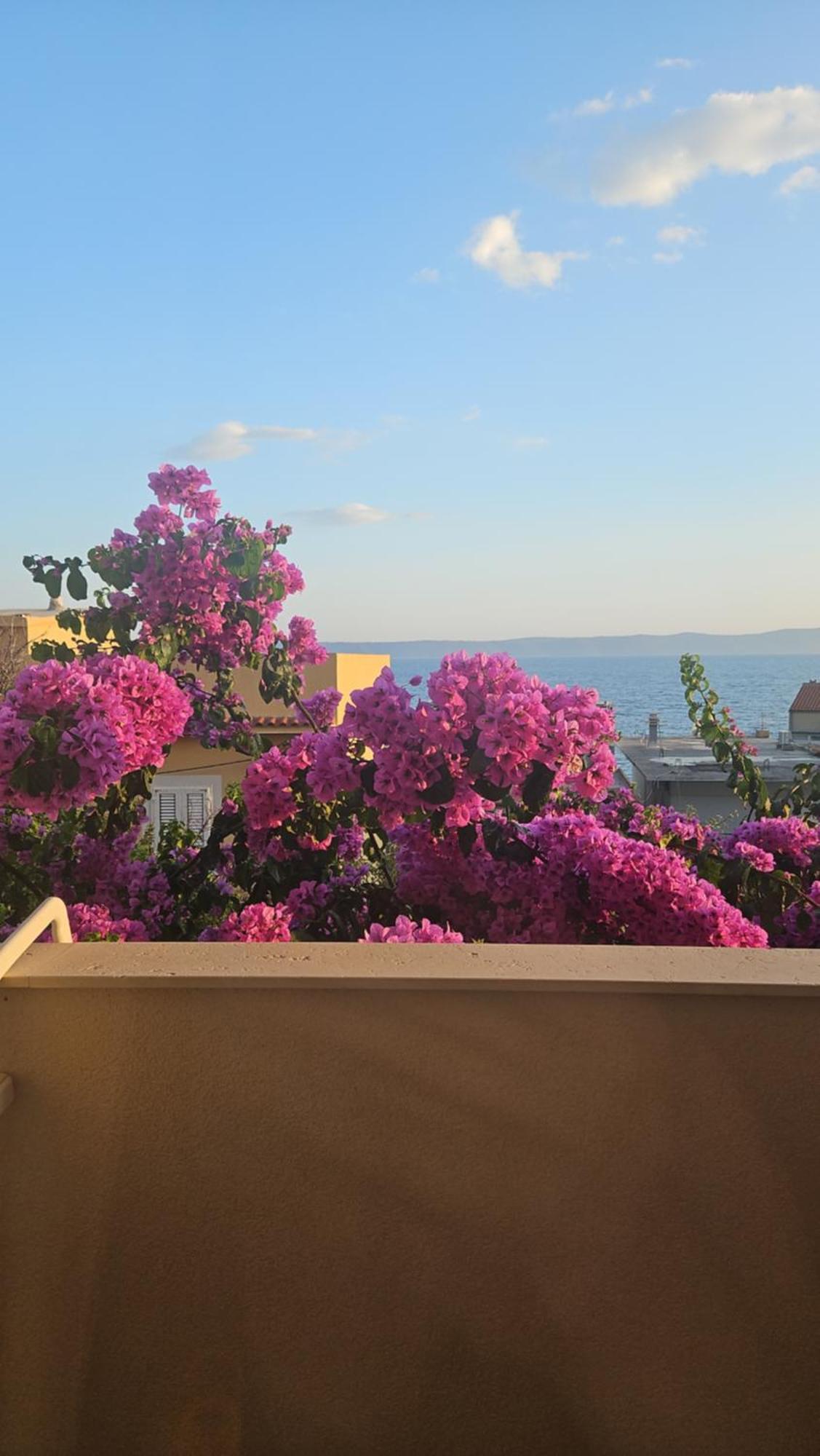 Apartmani Martinovka Drasnice Εξωτερικό φωτογραφία